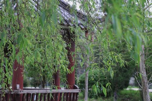 说明:C:\Users\15325\Desktop\IMG_6111(20200401-015149).JPG