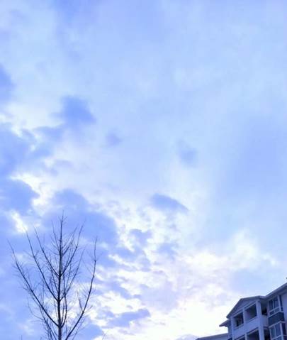 说明:C:\Users\15325\Desktop\黄紫娟\QQ图片20200402173421.jpg