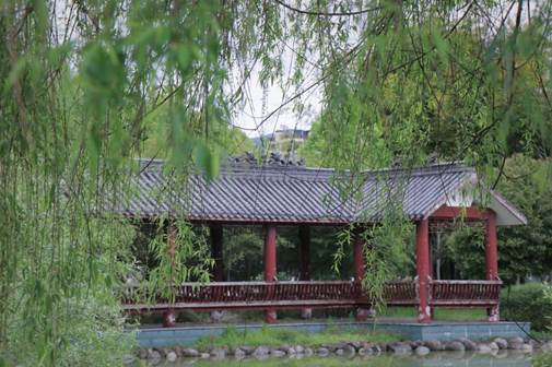 说明:C:\Users\15325\Desktop\IMG_6116(20200401-015149).JPG