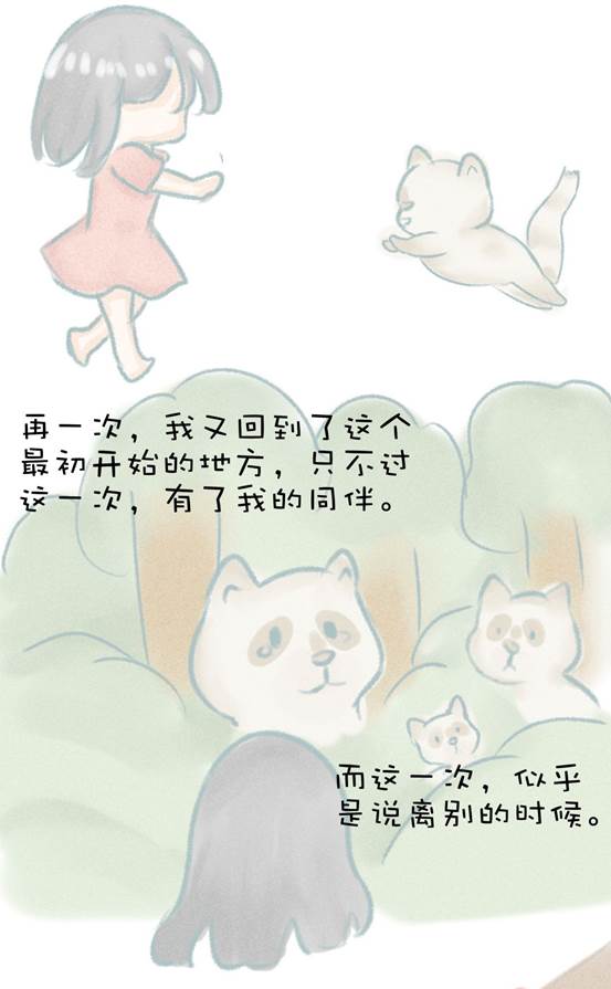 17886d806d637833ac172f15b58b1aeb