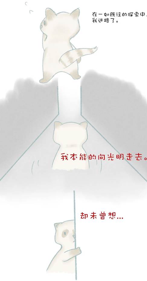 d8ab832f6a90238cb2ec32513c7e7b96