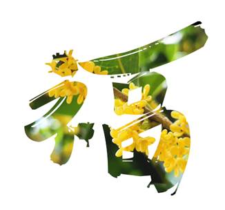 福6