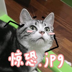 c6f3c8c8f16e90596a48c703a8ce07a2